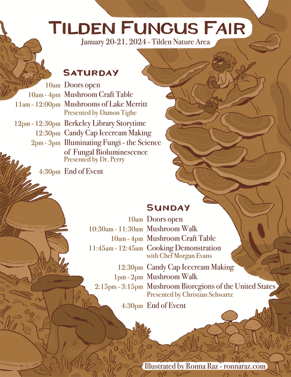 © Ronna Raz. All rights reserved.