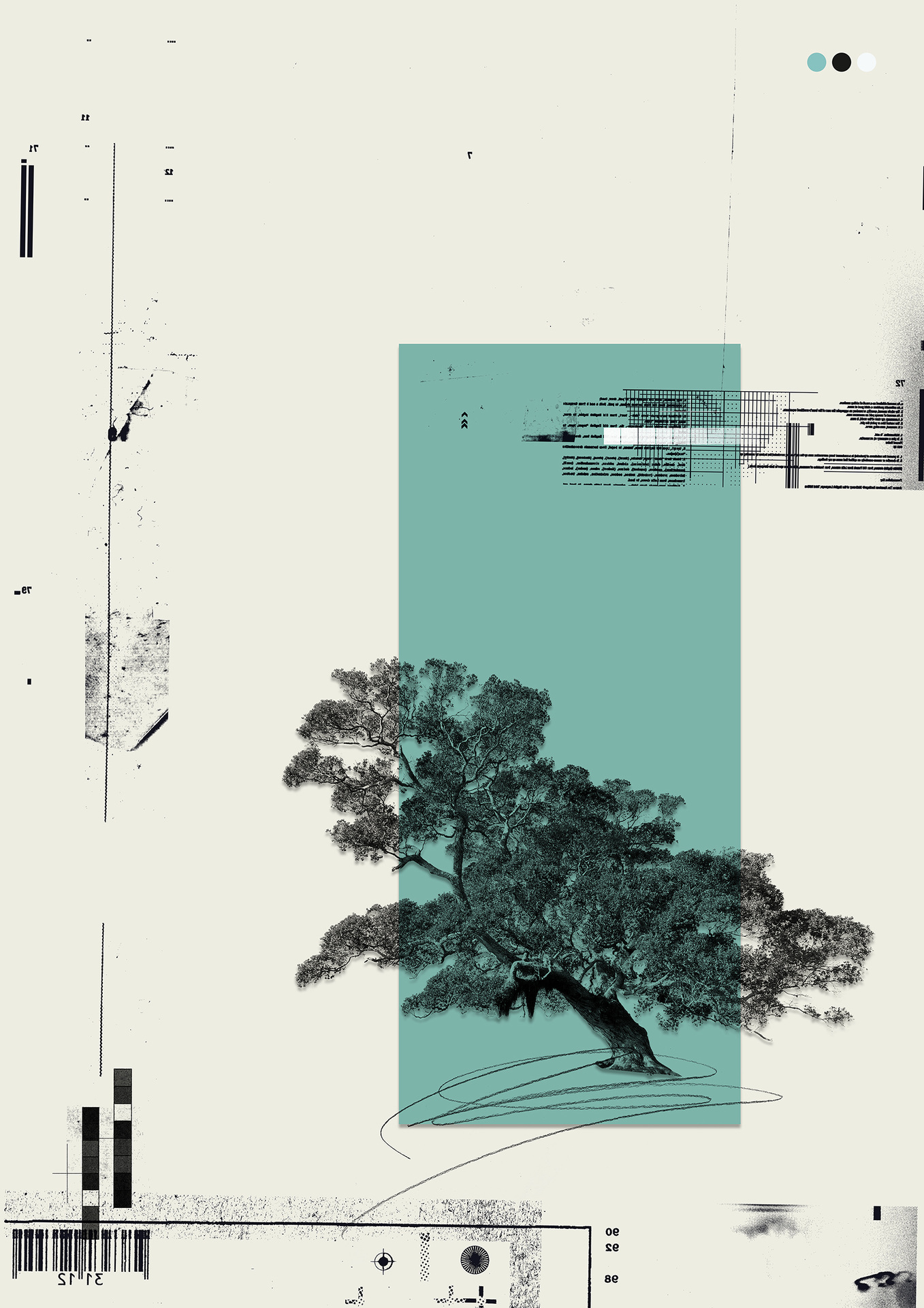 Barbara Gibson Artist and Visual Designer