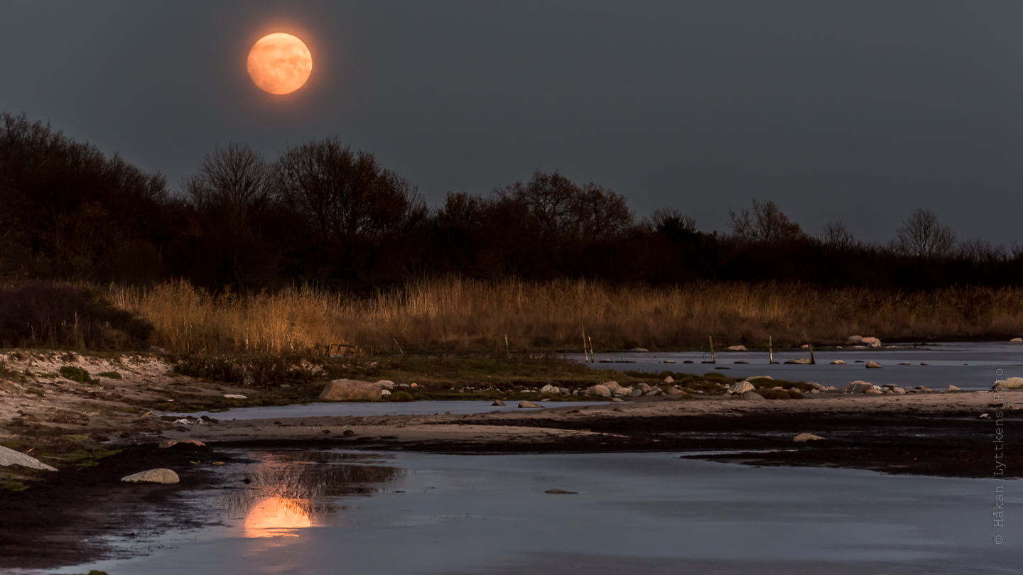 Onlayn porno jinsiy aloqa ota va qiz