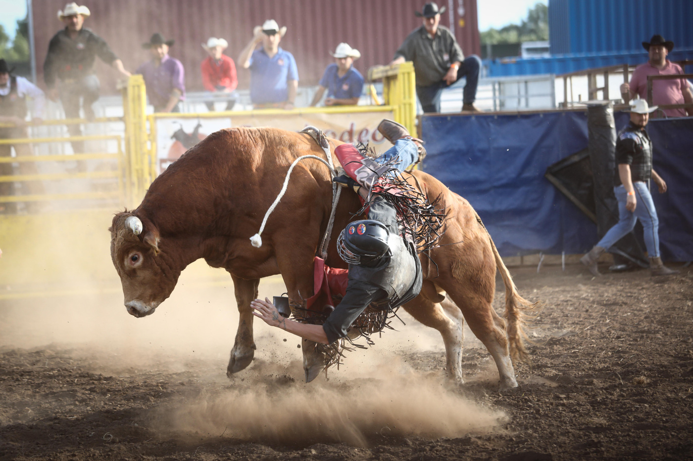 Hungarian rodeo