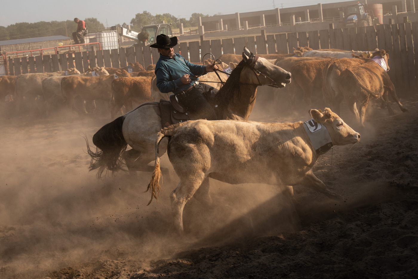 Hungarian rodeo