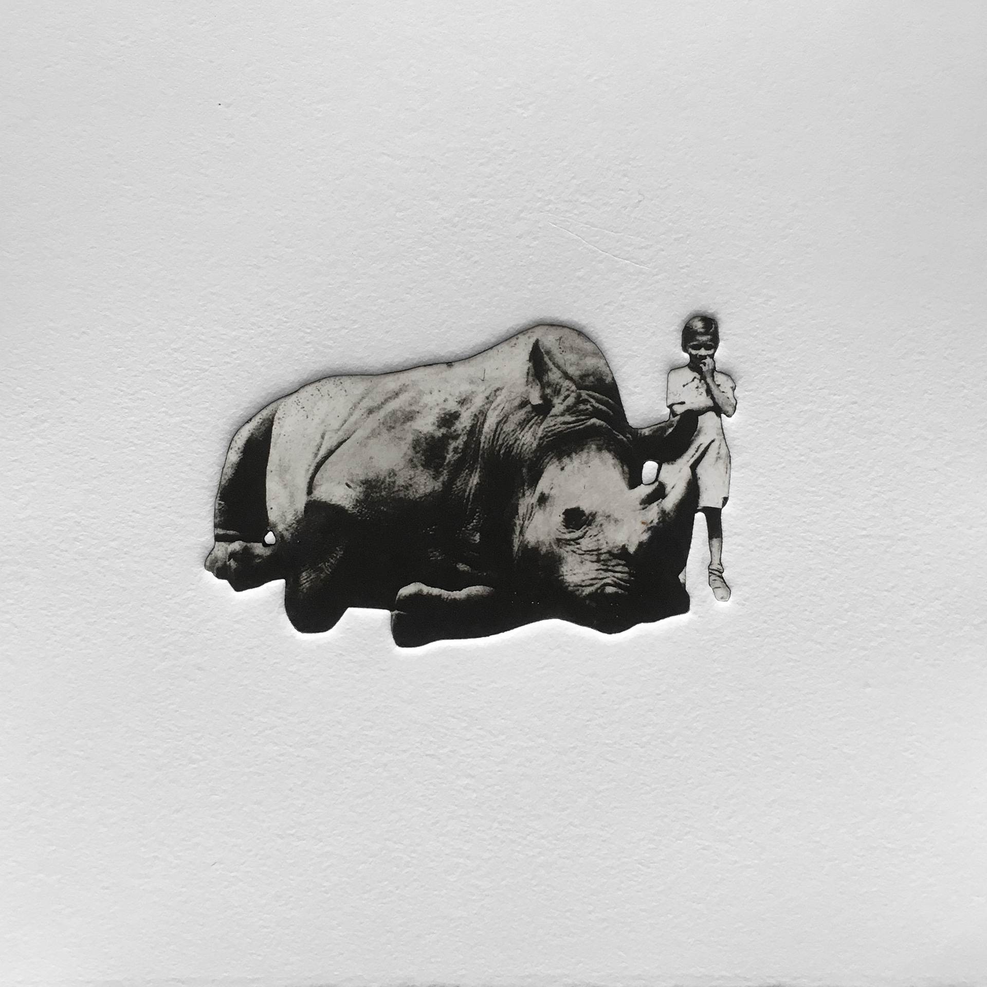 Rhino and Girl 2