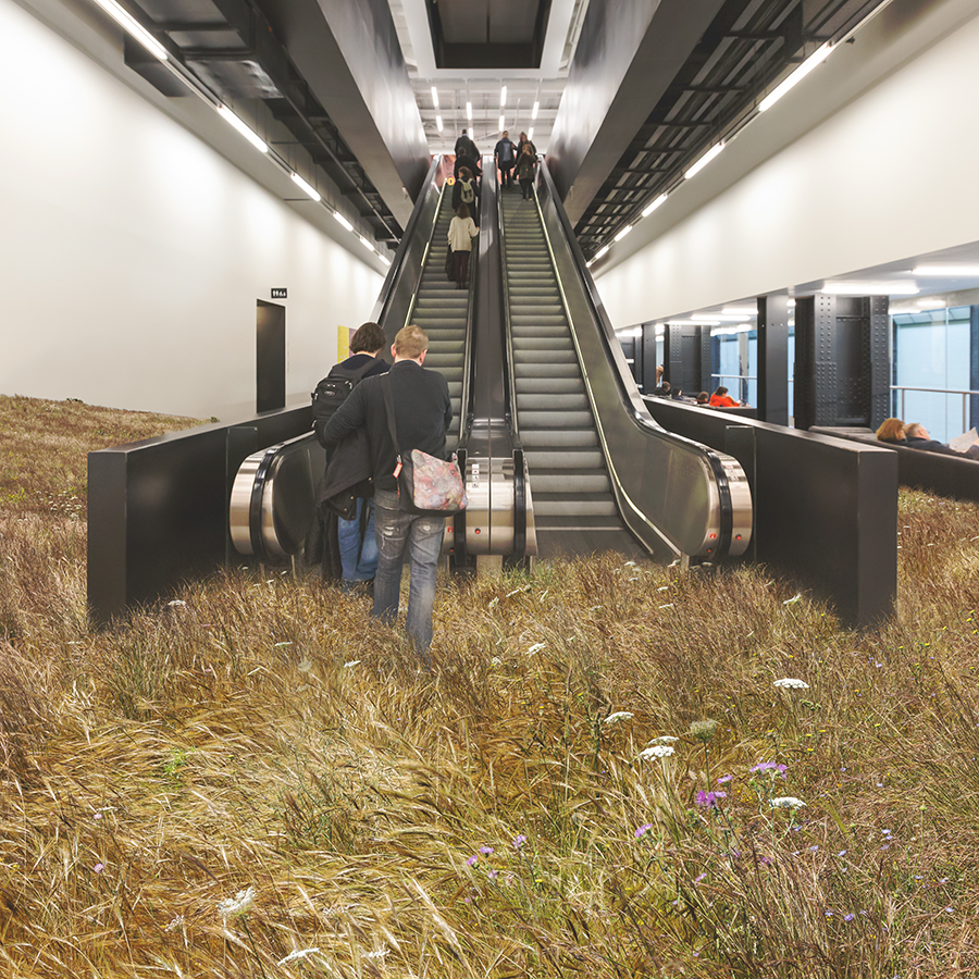 Nature S Dystopian Nature