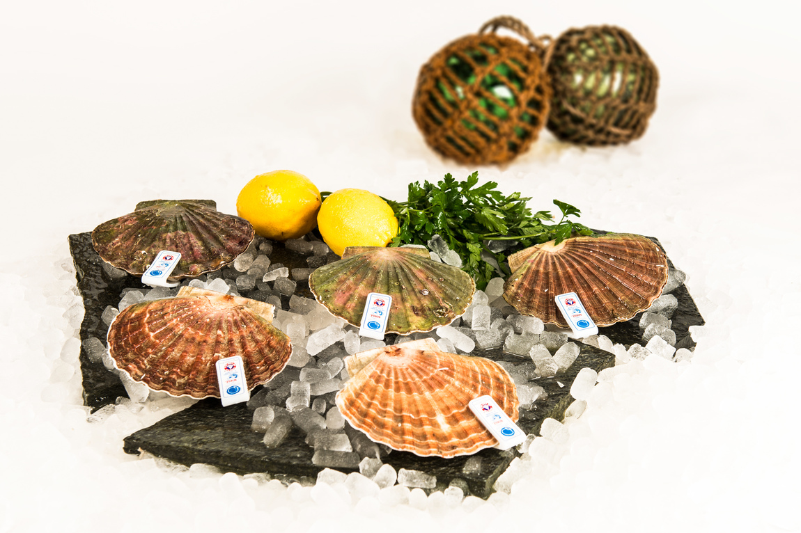 Lilynette Wennlid - Seafood / Skaldjur